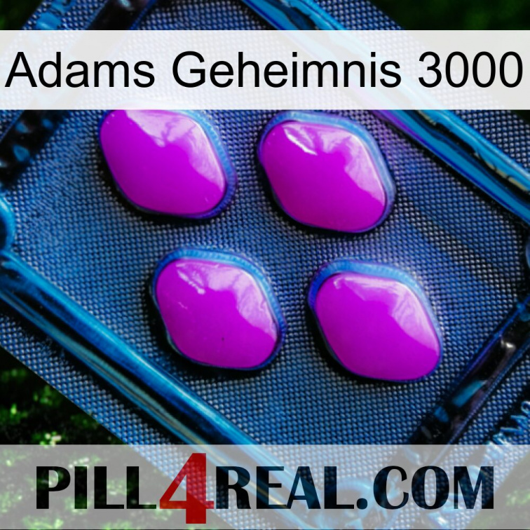 Adams Secret 3000 04